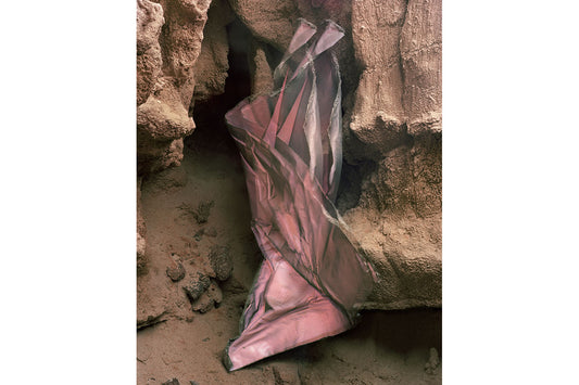 How Close Limited Edition Print - Brice Bischoff